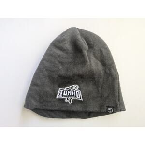 Idaho Steelheads Gray Beanie/Toque